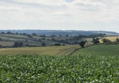 CL8